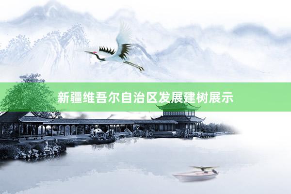 新疆维吾尔自治区发展建树展示