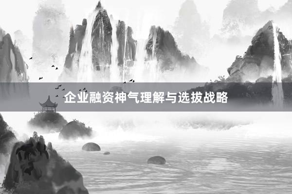 企业融资神气理解与选拔战略