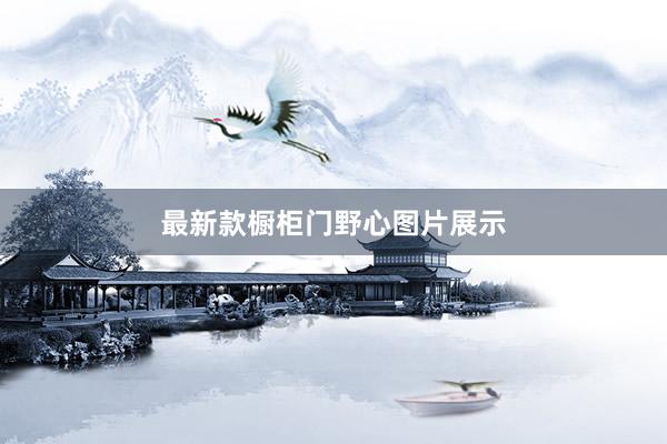 最新款橱柜门野心图片展示