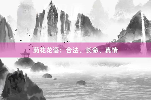 菊花花语：合法、长命、真情