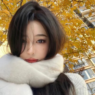 街头霸王4：新的羁绊